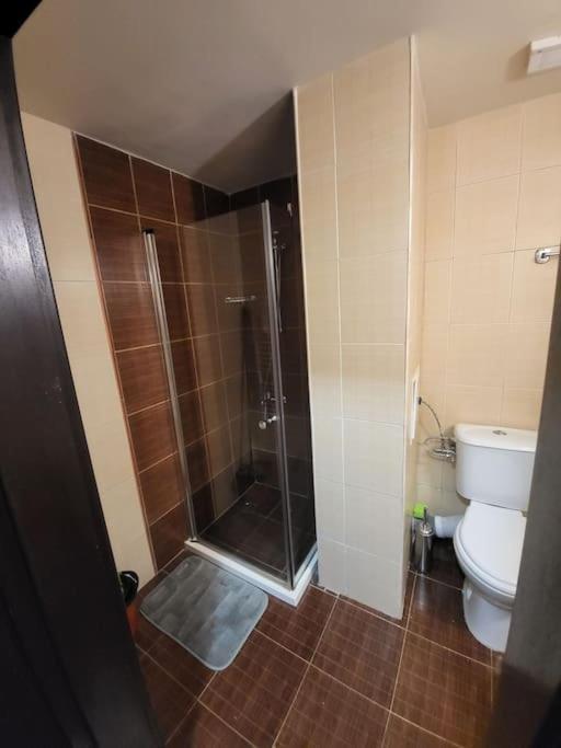 Bansko Royal Towers 253 Leilighet Eksteriør bilde